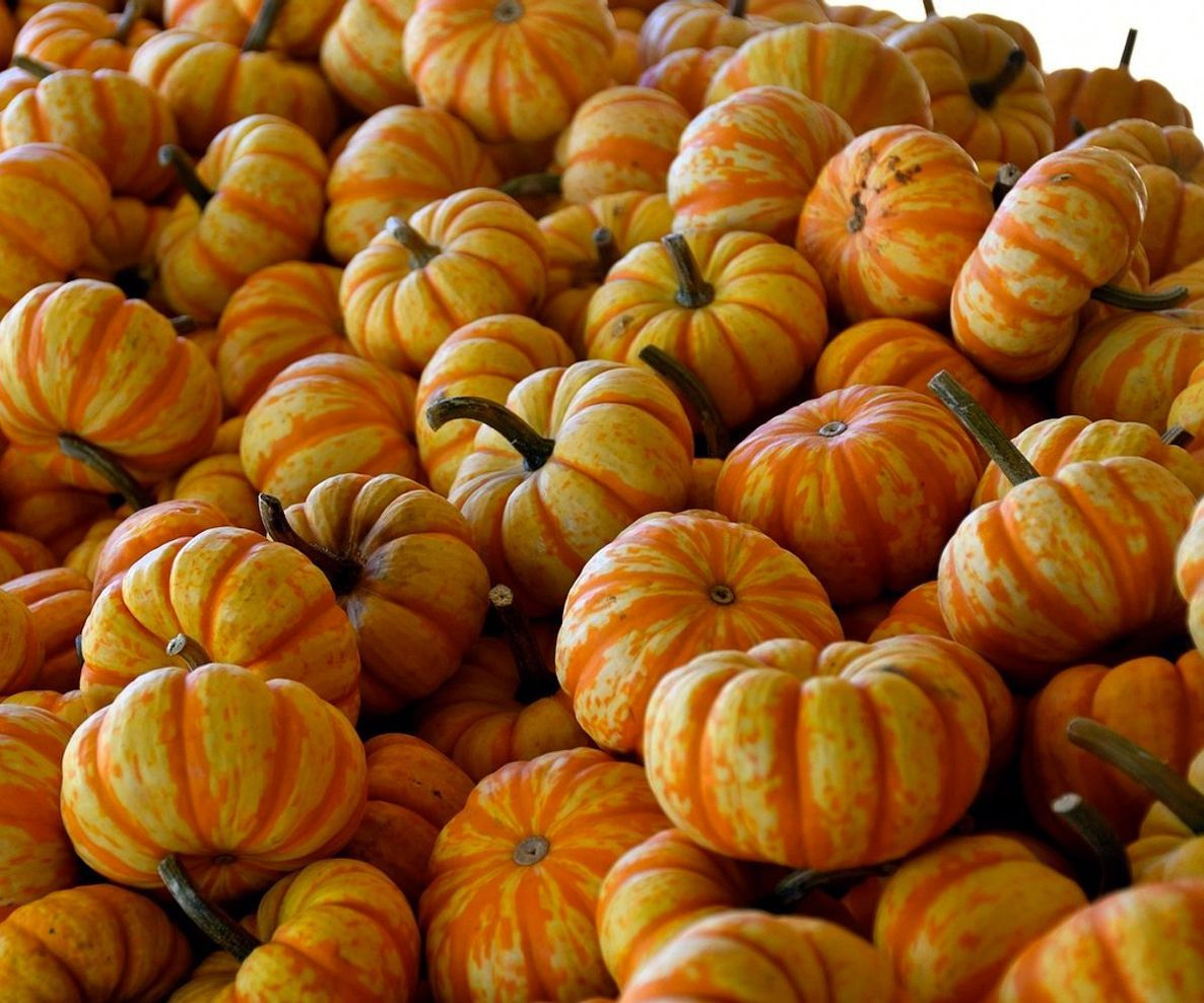 Uova fresche dal pollaio, pronte per la consegna mattutina